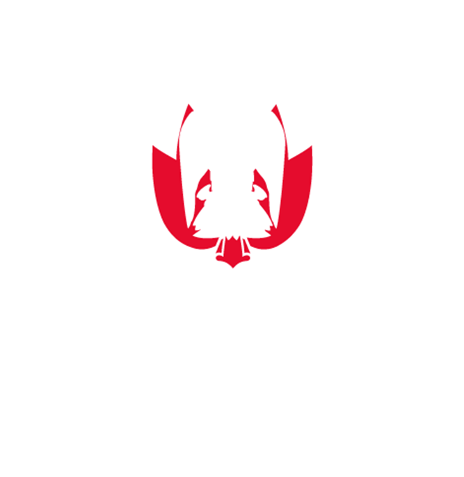 Department of Culture and Tourism